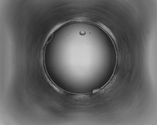 X0000115761437200911201149