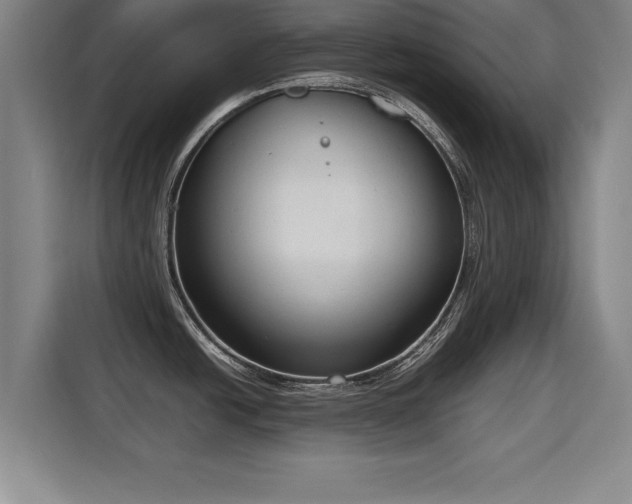 X0000115761438200911201149