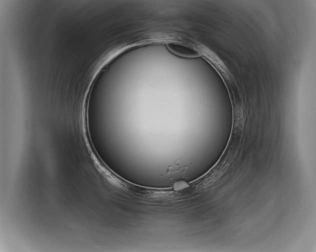 X0000115761439200911201149