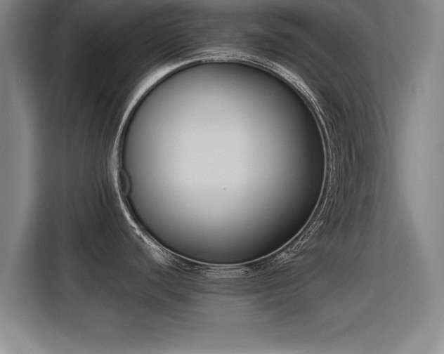 X0000115761440200911201149