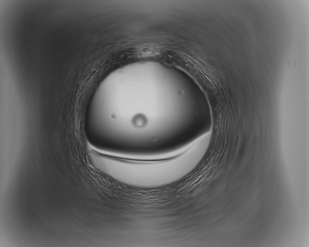 X0000115761441200911201148