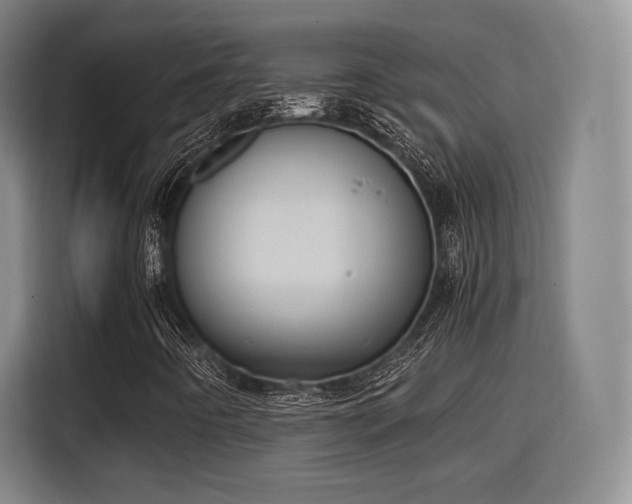 X0000115761442200911201148