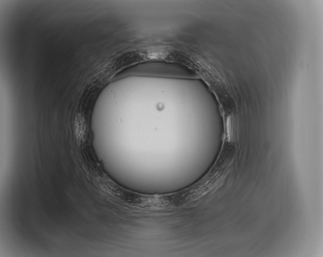 X0000115761443200911201148