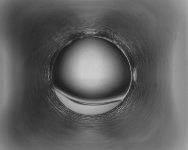 X0000115761444200911201148