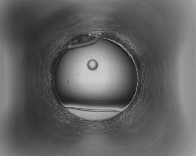X0000115761445200911201148