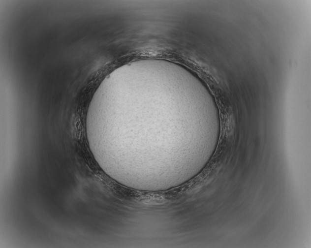 X0000115761446200911201148