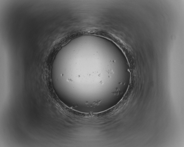 X0000115761447200911201148