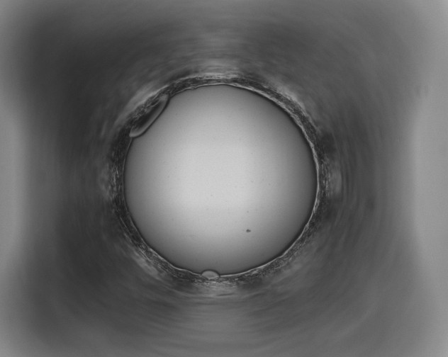 X0000115761448200911201148