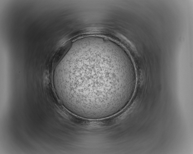 X0000115761449200911201148