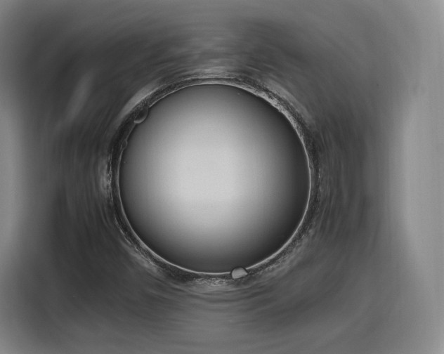 X0000115761450200911201148