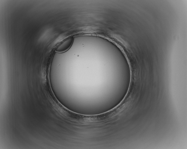 X0000115761451200911201148