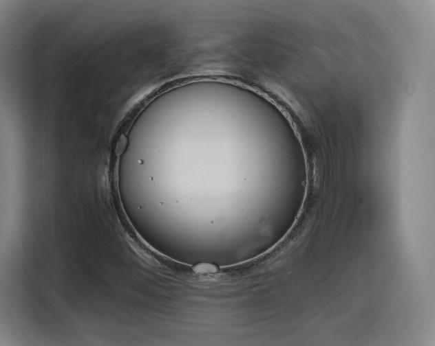 X0000115761452200911201148