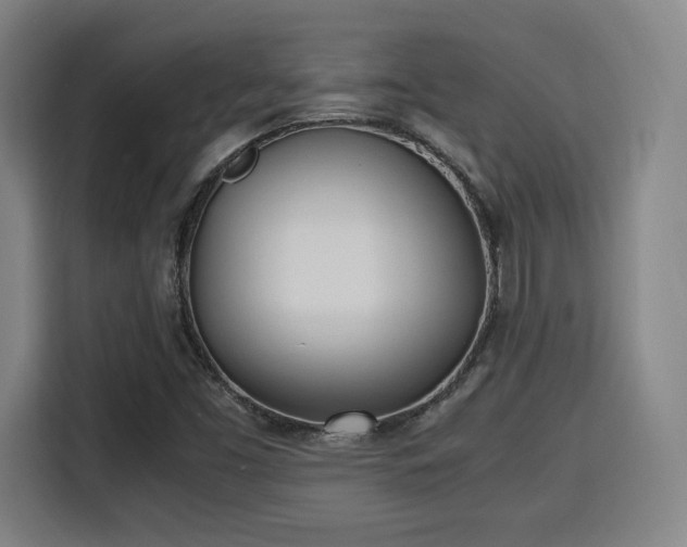 X0000115761453200911201148