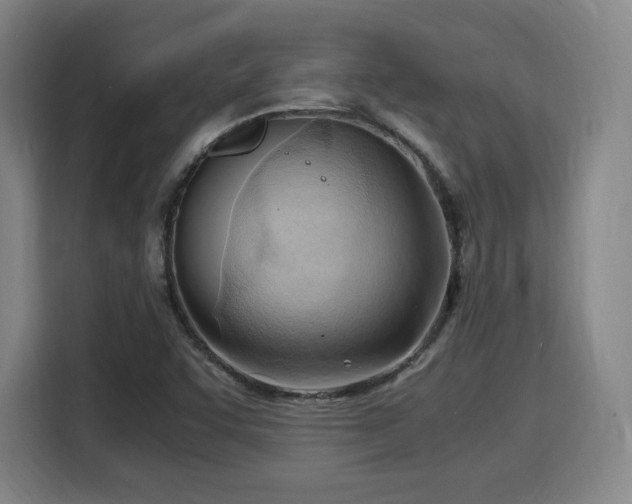 X0000115761455200911201148