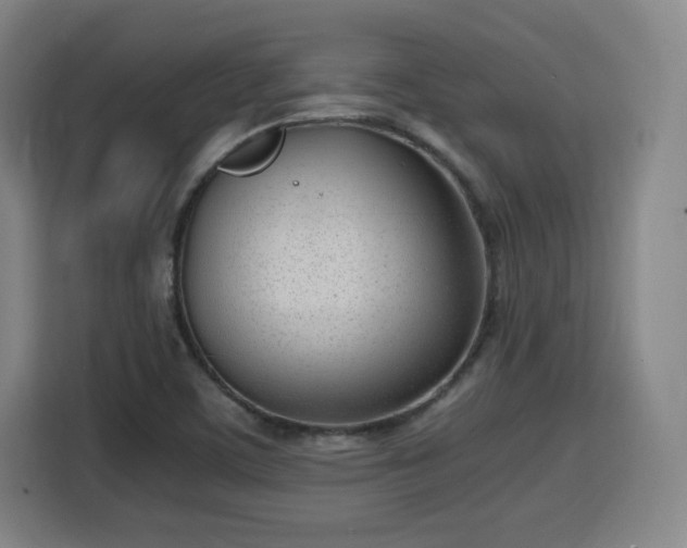 X0000115761459200911201148