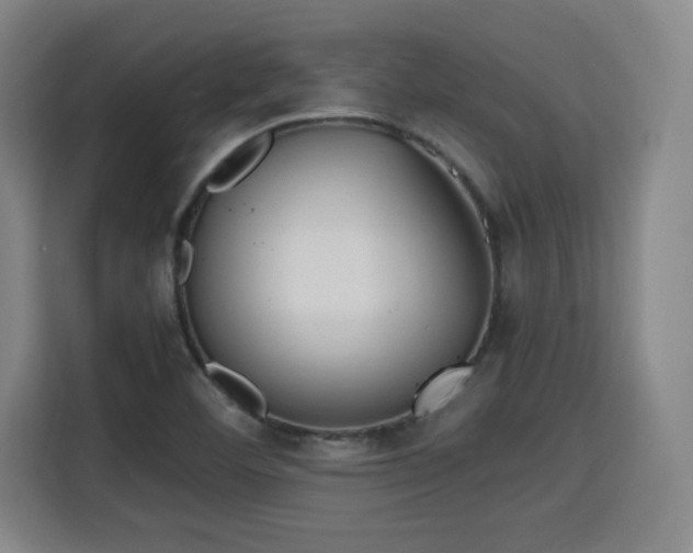 X0000115761460200911201148