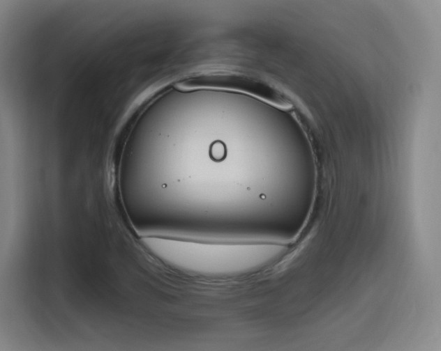 X0000115761461200911201148