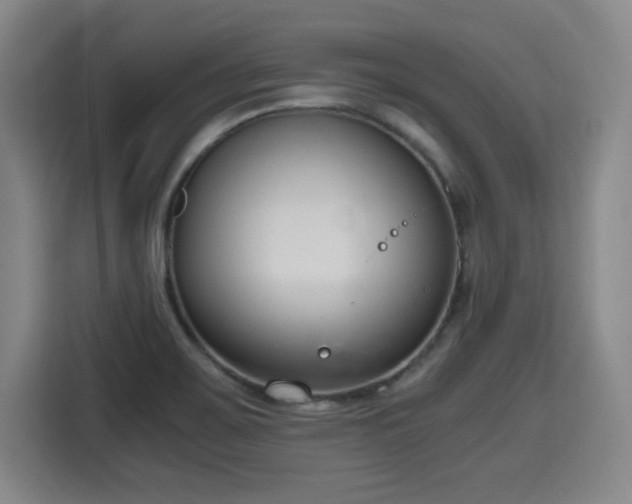 X0000115761467200911201148
