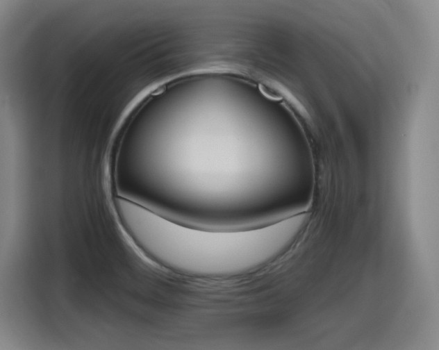 X0000115761468200911201148