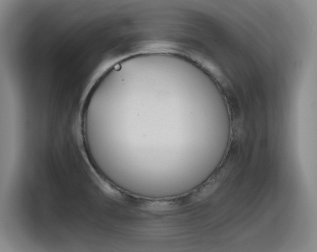 X0000115761470200911201148