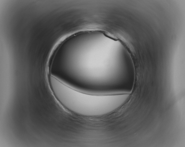 X0000115761472200911201148