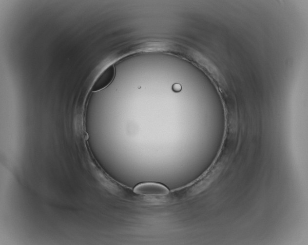 X0000115761473200911201148