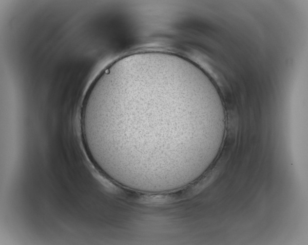 X0000115761474200911201148