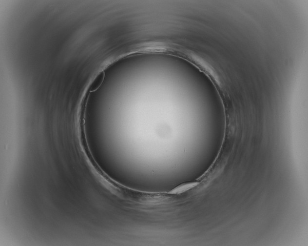 X0000115761475200911201148