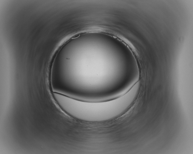 X0000115761477200911201148