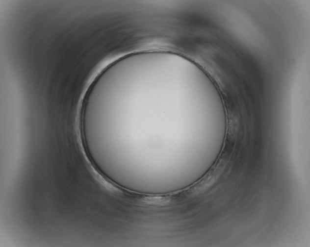 X0000115761478200911201148