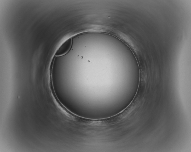 X0000115761479200911201148
