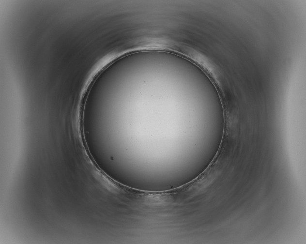 X0000115761480200911201148