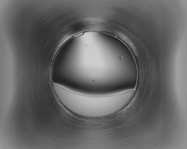 X0000115761481200911201148
