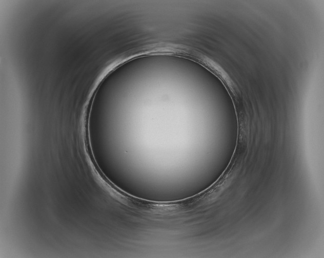 X0000115761483200911201148
