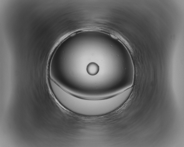 X0000115761485200911201148