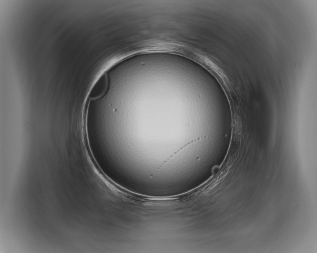 X0000115761487200911201148