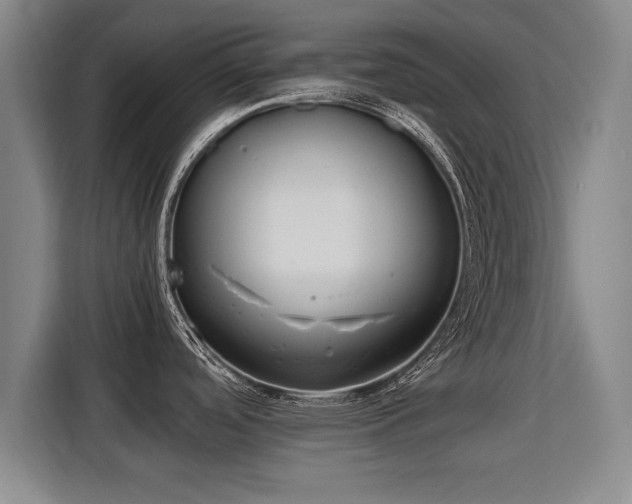 X0000115761488200911201148