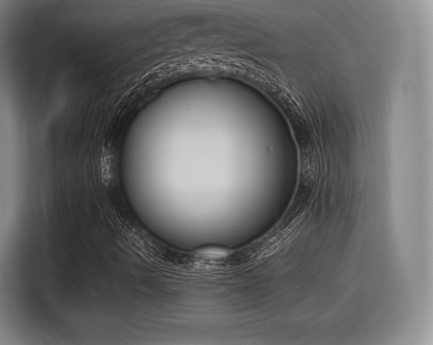 X0000115761490200911201147