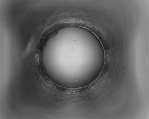 X0000115761493200911201147