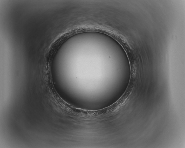 X0000115761494200911201147
