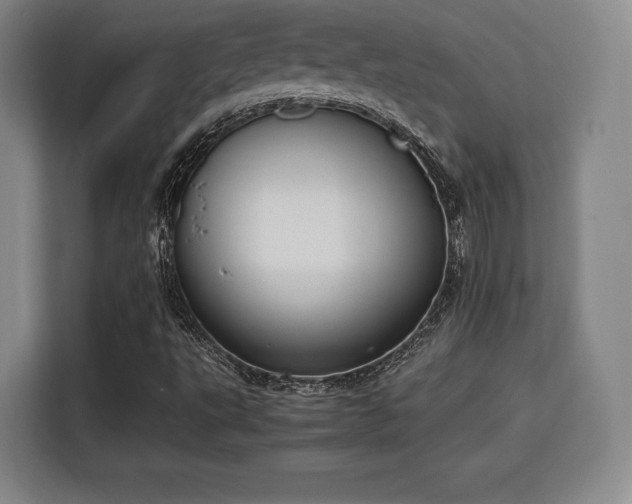 X0000115761495200911201147