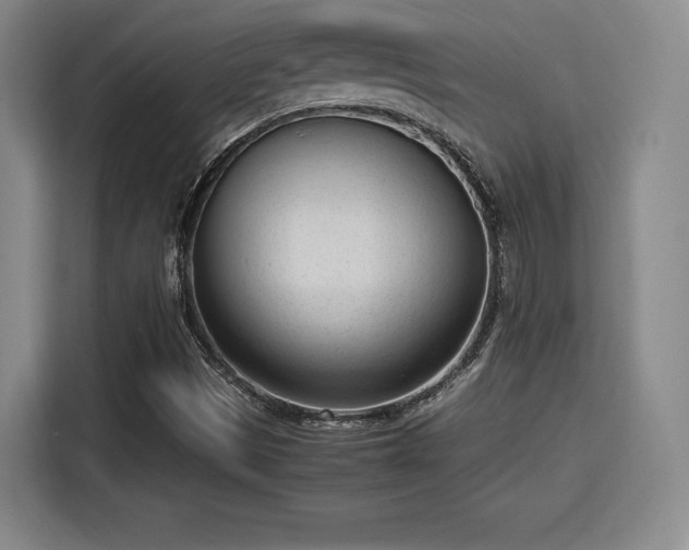 X0000115761497200911201147