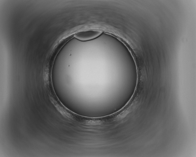 X0000115761499200911201147