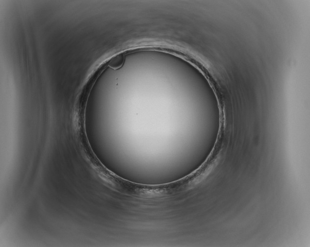 X0000115761501200911201147