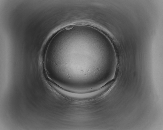 X0000115761506200911201147