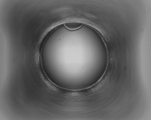 X0000115761507200911201147