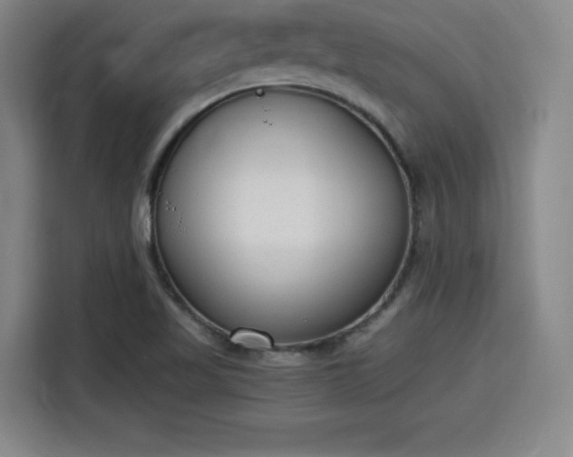 X0000115761509200911201147