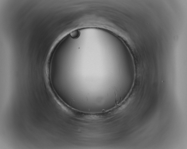 X0000115761517200911201148