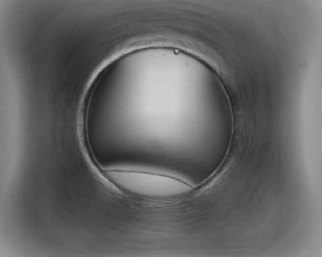 X0000115761518200911201148