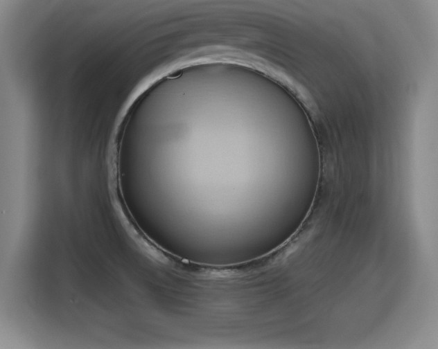 X0000115761522200911201148